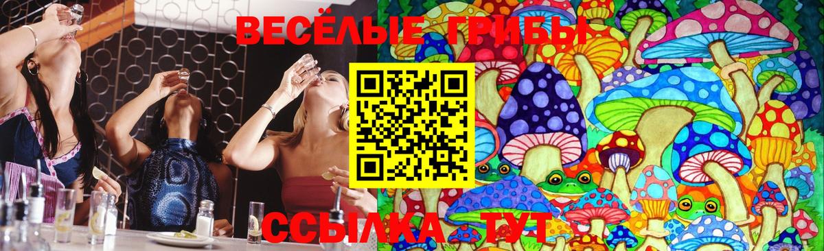 Галлюциногенные грибы GOLDEN TEACHER Балтийск