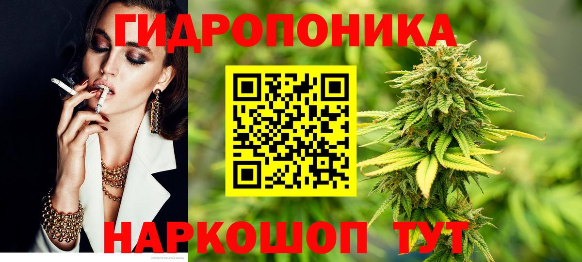 Каннабис Bruce Banner Балтийск